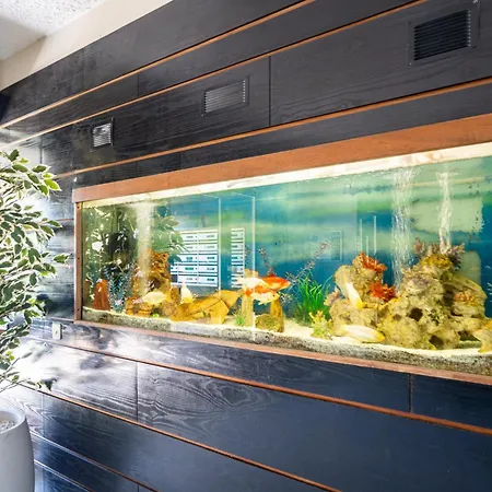 Appartement Magnifique 2 Pieces Vue - Parking Proche
